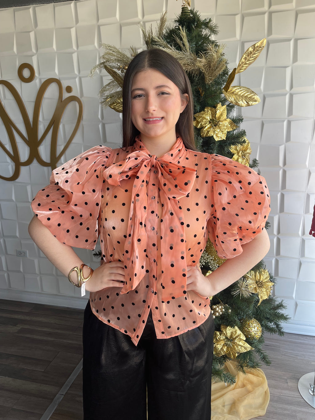 Sheer Bow Top